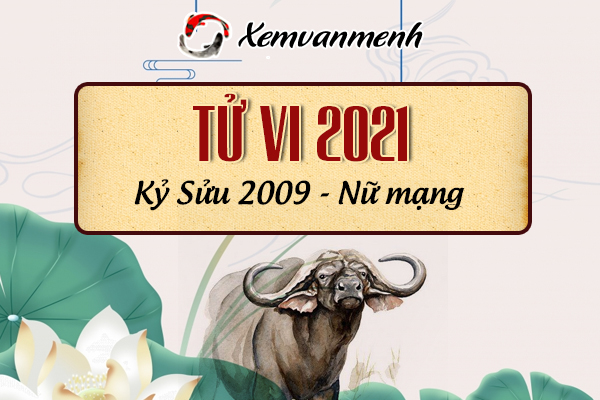2009-xem-boi-tu-vi-tuoi-ky-suu-nu-mang