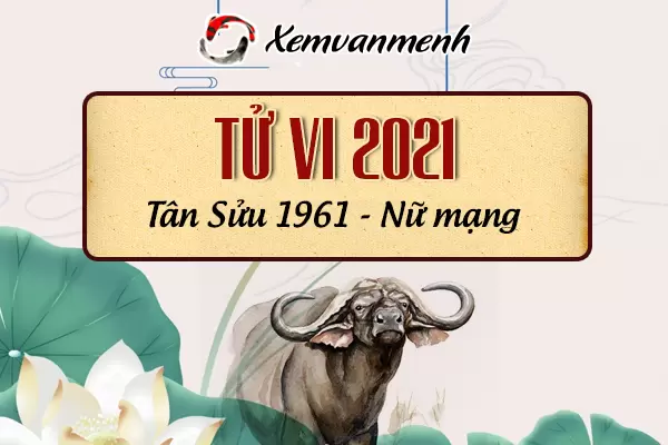 1961-xem-boi-tu-vi-tuoi-tan-suu-nu-mang