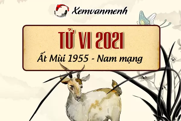 1955-xem-boi-tu-vi-tuoi-at-mui-nam-mang