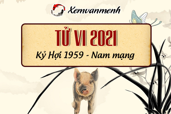 1959-xem-boi-tu-vi-tuoi-ky-hoi-nam-mang