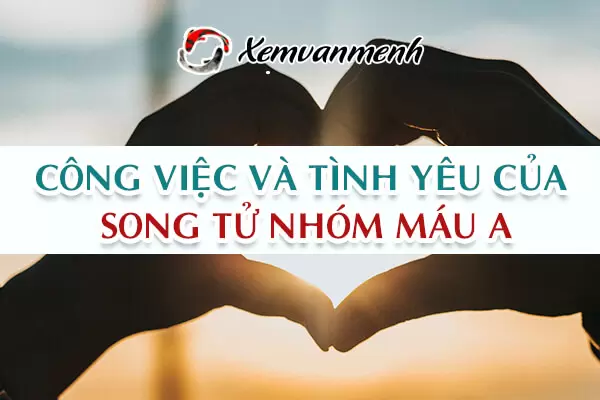 cung-song-tu-nhom-mau-a-2