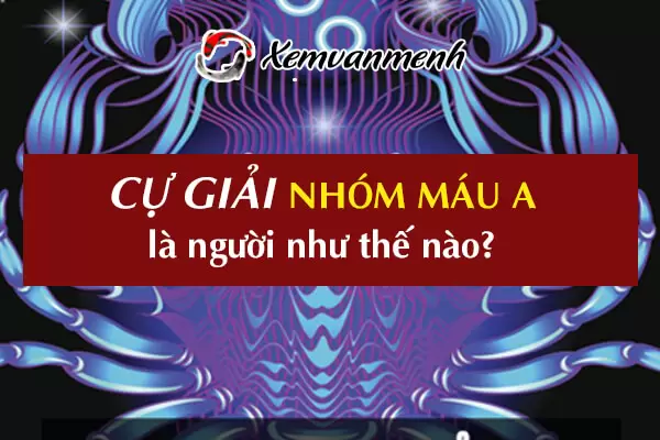 cung-cu-giai-nhom-mau-a-1