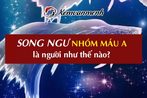 cung-song-ngu-nhom-mau-a-1