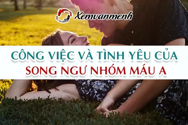 cung-song-ngu-nhom-mau-a-2