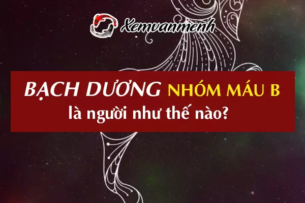 cung-bach-duong-nhom-mau-b-1