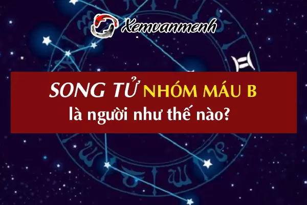 cung-song-tu-nhom-mau-b-1