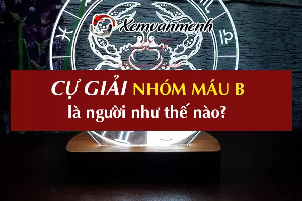 cung-cu-giai-nhom-mau-b-1