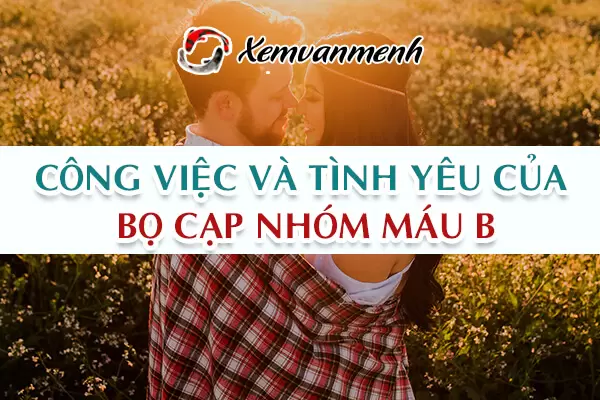 cung-bo-cap-nhom-mau-b-2