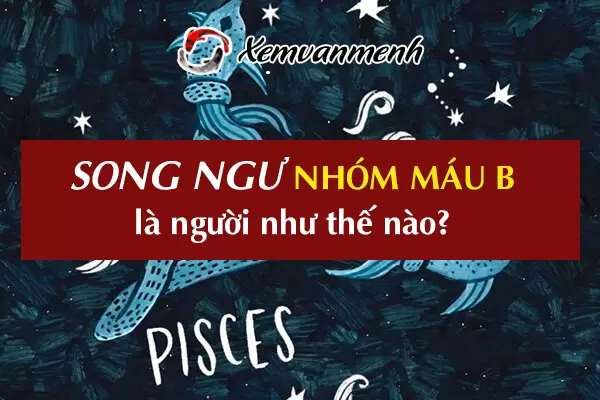 cung-song-ngu-nhom-mau-b-1