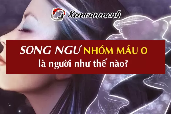 cung-song-ngu-nhom-mau-o-1