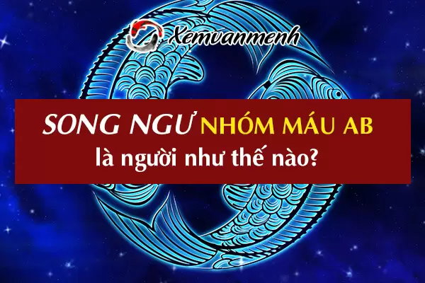 cung-song-ngu-nhom-mau-ab-1