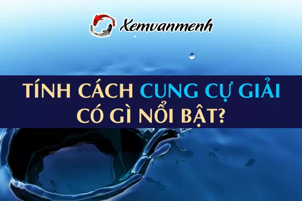 tinh-cach-cung-cu-giai-1