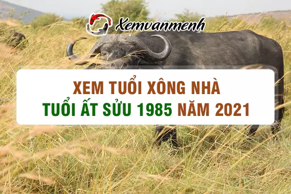 1985-xem-tuoi-xong-nha-nam-2021-tuoi-at-suu