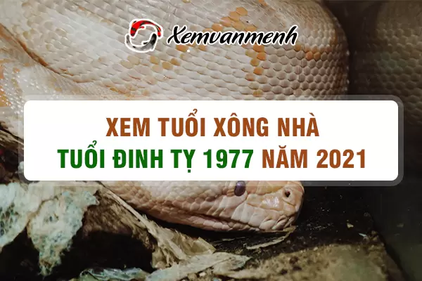 1977-xem-tuoi-xong-nha-nam-2021-tuoi-dinh-ty