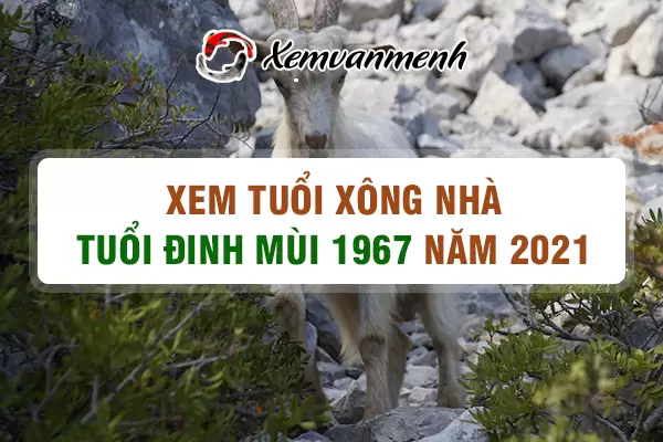 1967-xem-tuoi-xong-nha-nam-2021-tuoi-dinh-mui