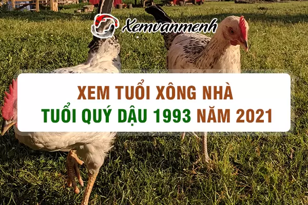 1993-xem-tuoi-xong-nha-nam-2021-tuoi-quy-dau