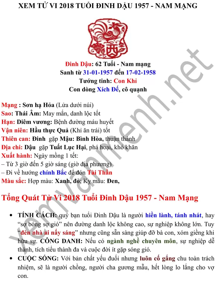 tu-vi-tuoi-dinh-dau-nam-2018-nam-mang