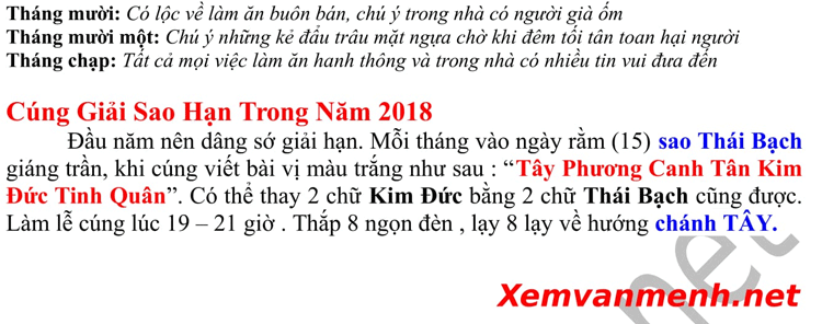 xem-tu-vi-tuoi-canh-tuat-nam-2018-nam-mang-1