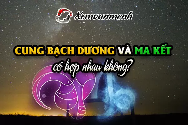 cung-bach-duong-va-ma-ket-co-hop-nhau-khong