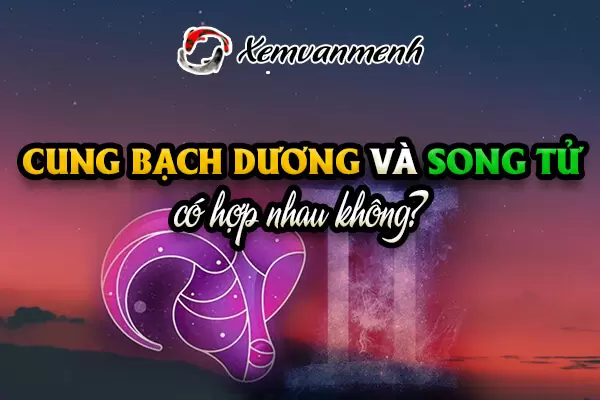 bach-duong-va-song-tu-co-hop-nhau-khong