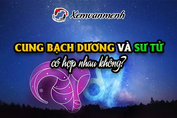 cung-bach-duong-va-su-tu-co-hop-nhau-khong