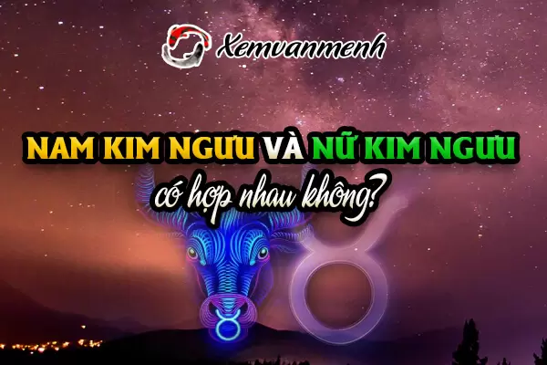 Kim Ngưu và Kim Ngưu