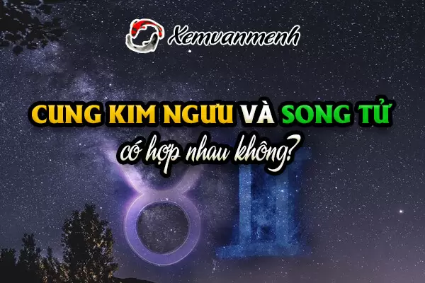 Kim Ngưu và Song Tử