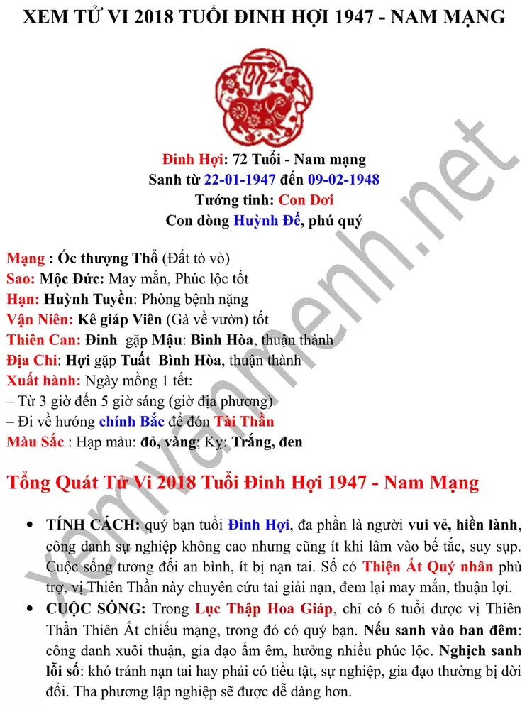 tu-vi-tuoi-dinh-hoi-nam-2018-nam-mang