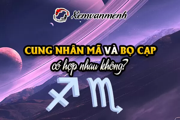 nhan-ma-va-bo-cap