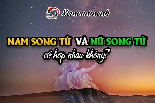 Song Tử và Song Tử