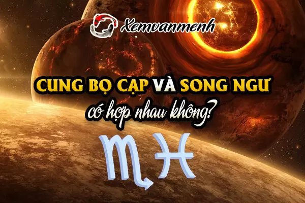 bo-cap-va-song-ngu