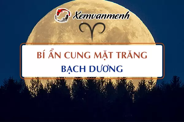 mat-trang-bach-duong-la-gi