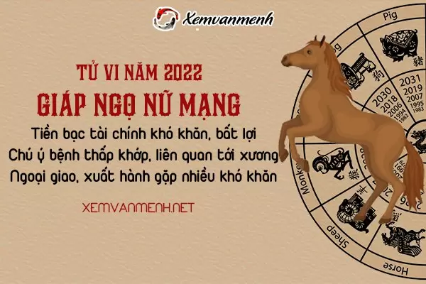 tu-vi-tuoi-giap-ngo-nam-2022-nu-mang-1954