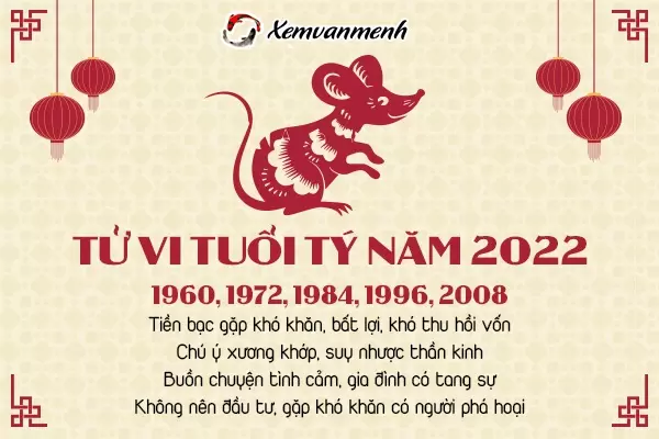 tu-vi-tuoi-ty-nam-2022