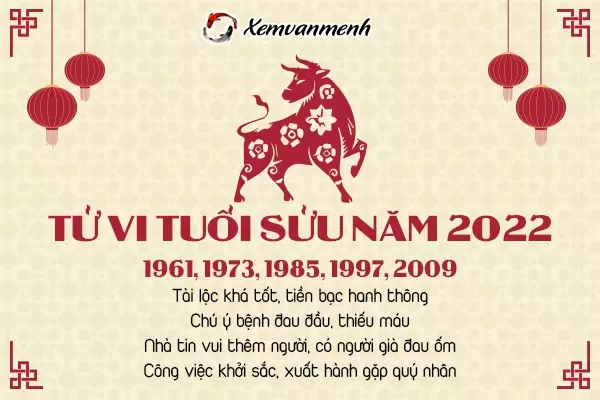 tu-vi-tuoi-suu-nam-2022