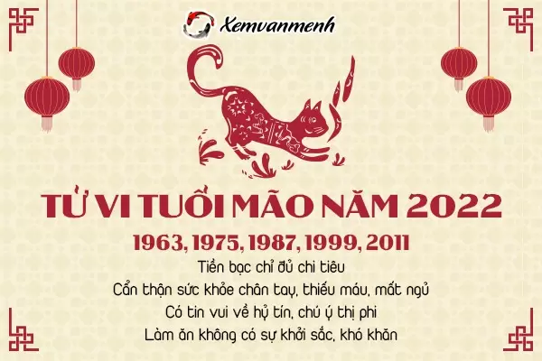 tu-vi-tuoi-mao-nam-2022