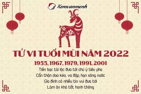 tu-vi-tuoi-mui-nam-2022