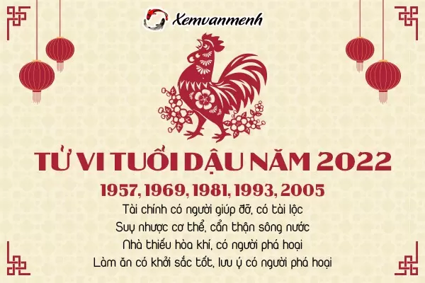 tu-vi-tuoi-dau-nam-2022