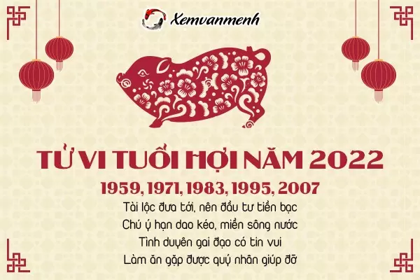 tu-vi-tuoi-hoi-nam-2022