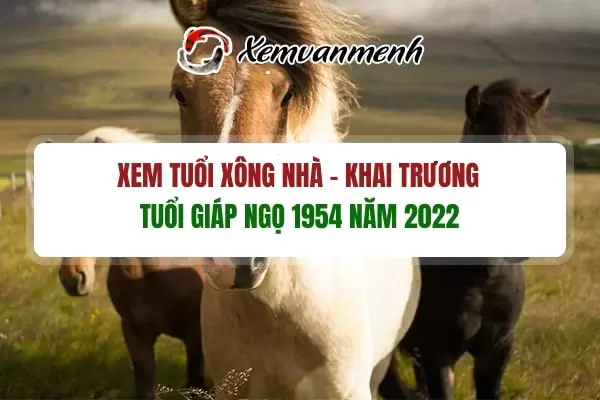 tuoi-xong-dat-mo-hang-dau-nam-2022-cho-tuoi-giap-ngo-1954