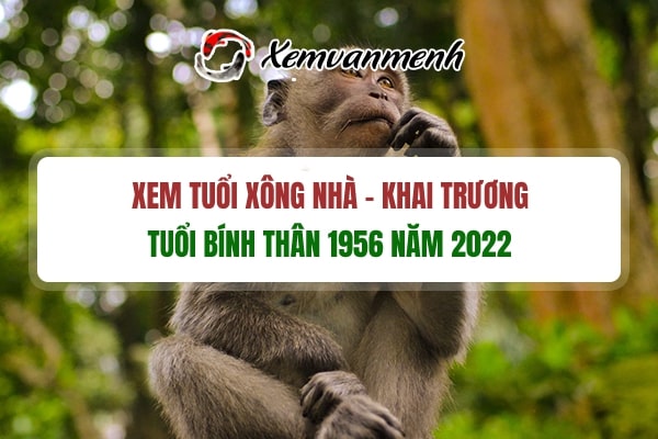 tuoi-xong-dat-mo-hang-dau-nam-2022-cho-tuoi-binh-than-1956