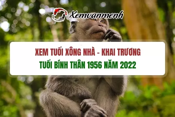 tuoi-xong-dat-mo-hang-dau-nam-2022-cho-tuoi-binh-than-1956