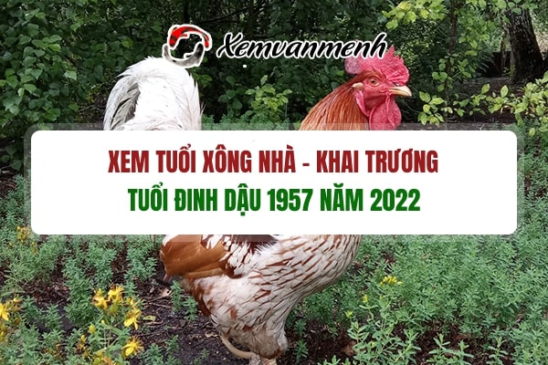tuoi-xong-dat-mo-hang-dau-nam-2022-cho-tuoi-dinh-dau-1957
