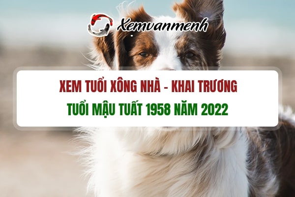 tuoi-xong-dat-mo-hang-dau-nam-2022-cho-tuoi-mau-tuat-1958