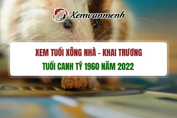 tuoi-xong-dat-mo-hang-dau-nam-2022-cho-tuoi-canh-ty-1960