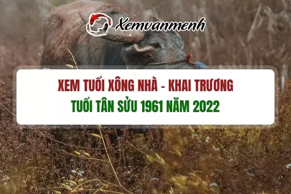 tuoi-xong-dat-mo-hang-dau-nam-2022-cho-tuoi-tan-suu-1961