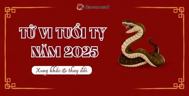 tử vi tuổi tỵ năm 2025