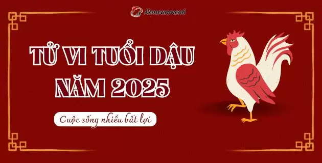 tử vi tuổi dậu năm 2025