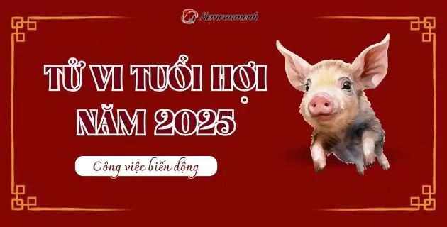 tử vi tuổi hợi năm 2025