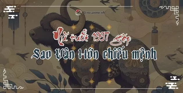 tử vi tuổi đinh sửu năm 2025 nữ mạng